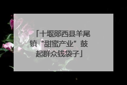 十堰郧西县羊尾镇“甜蜜产业”鼓起群众钱袋子